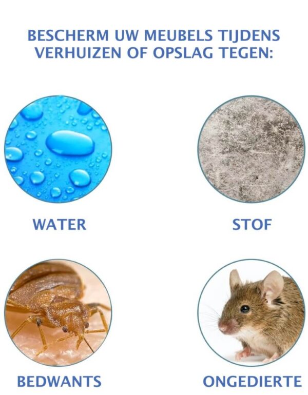 matrashoes 2 matrashoes 2